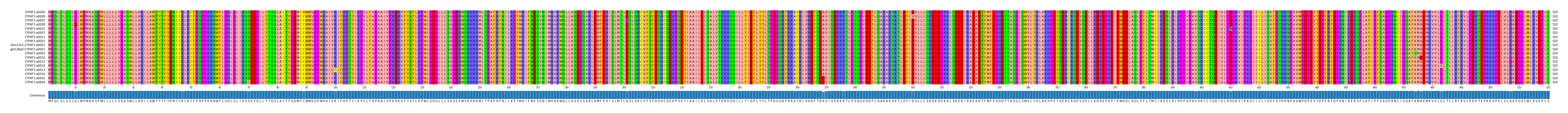 Multiple Alignments (by translate haplotype similarity)