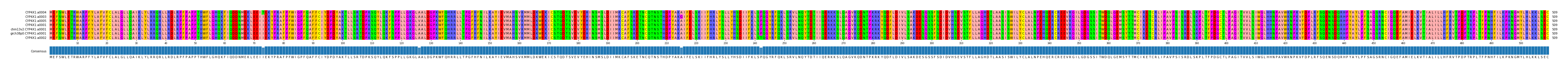 Multiple Alignments (by translate haplotype similarity)