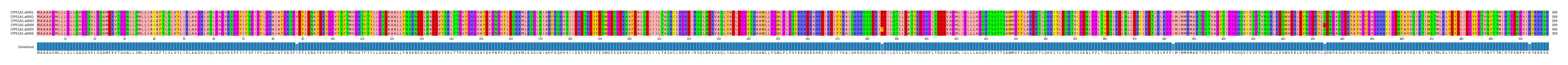Multiple Alignments (by translate haplotype frequency)