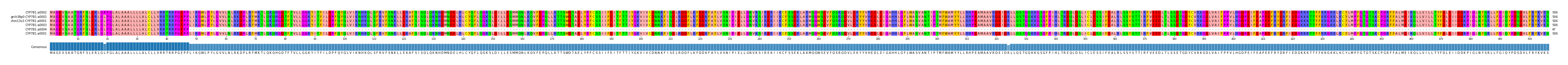 Multiple Alignments (by translate haplotype similarity)