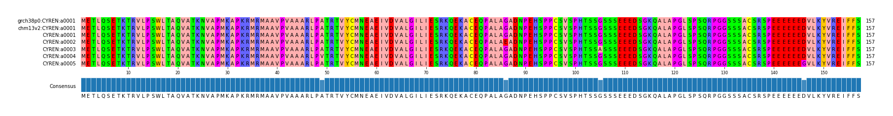Multiple Alignments (by translate haplotype frequency)