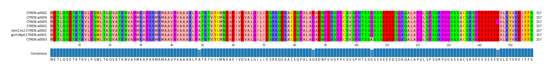 Multiple Alignments (by translate haplotype similarity)