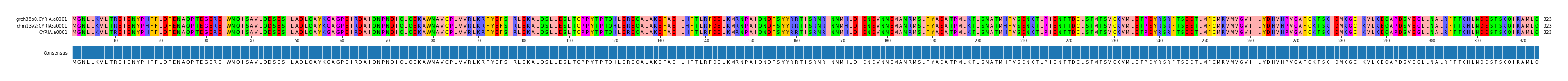 Multiple Alignments (by translate haplotype similarity)