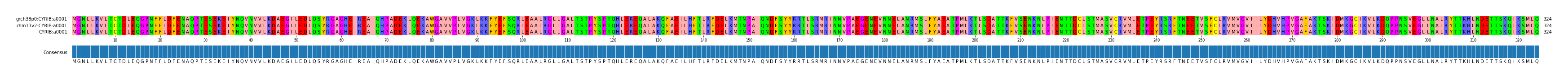 Multiple Alignments (by translate haplotype similarity)