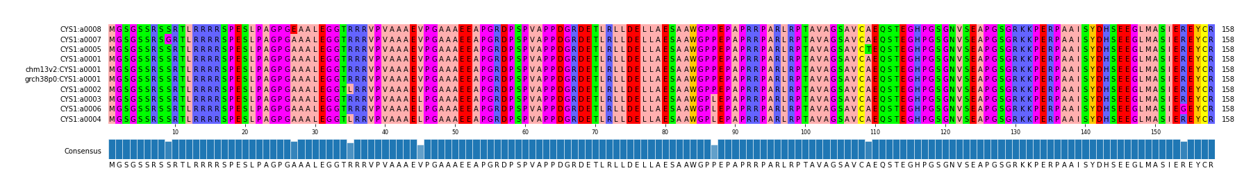 Multiple Alignments (by translate haplotype similarity)