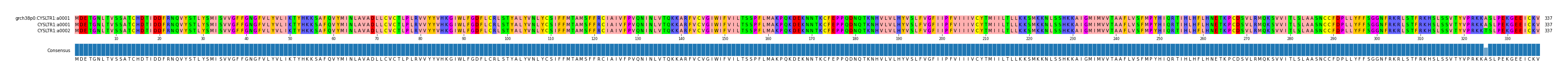 Multiple Alignments (by translate haplotype similarity)