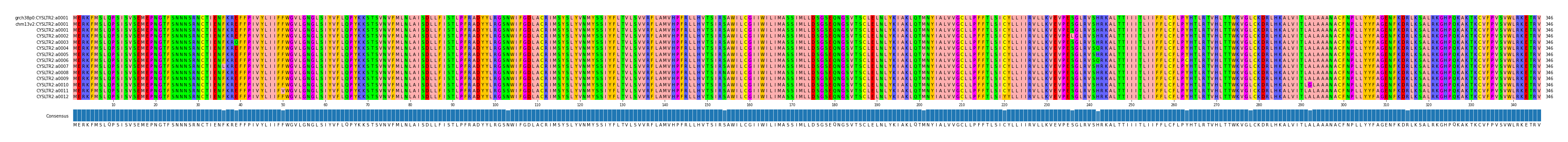 Multiple Alignments (by translate haplotype frequency)