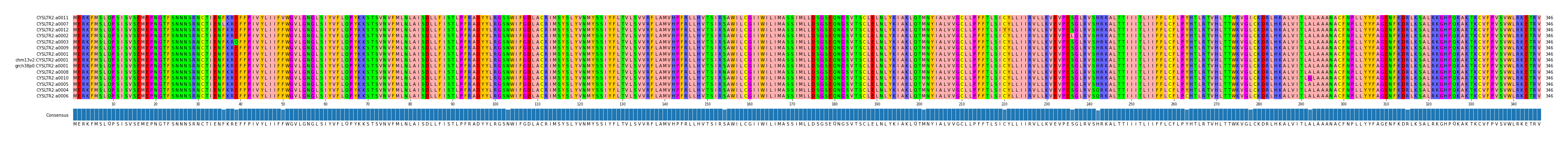 Multiple Alignments (by translate haplotype similarity)