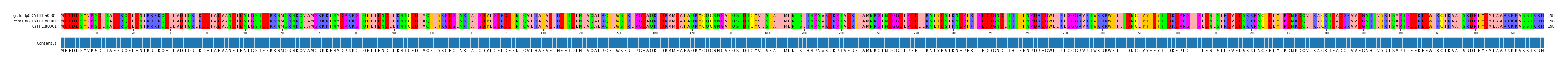 Multiple Alignments (by translate haplotype frequency)