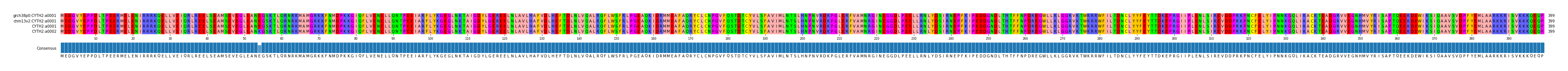 Multiple Alignments (by translate haplotype similarity)