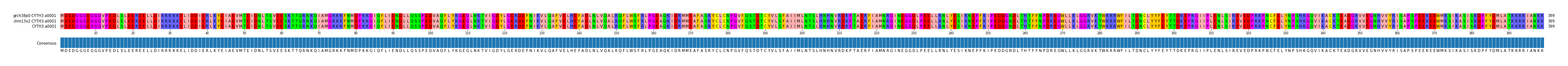 Multiple Alignments (by translate haplotype similarity)