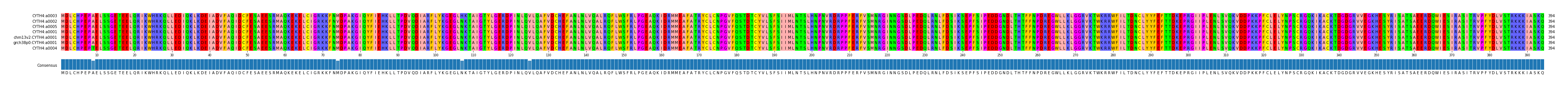 Multiple Alignments (by translate haplotype similarity)