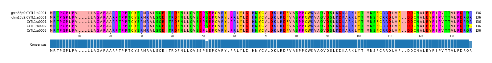Multiple Alignments (by translate haplotype frequency)
