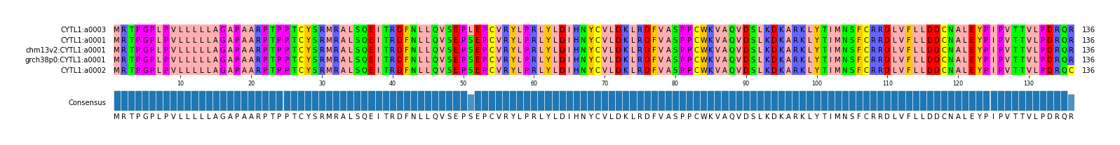 Multiple Alignments (by translate haplotype similarity)