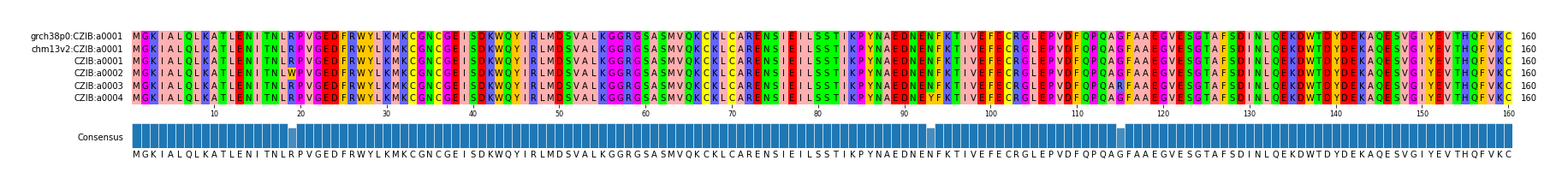 Multiple Alignments (by translate haplotype frequency)