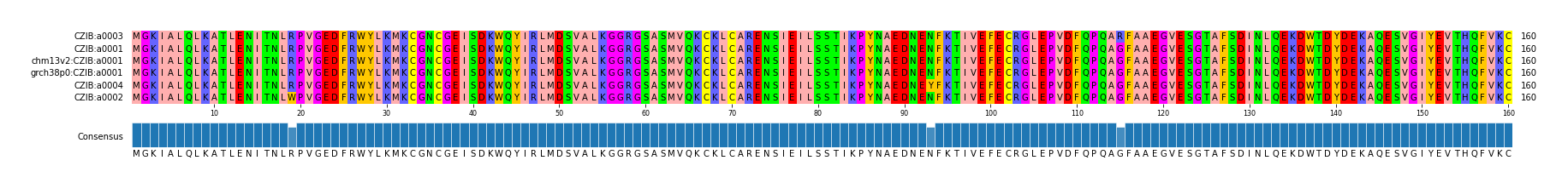 Multiple Alignments (by translate haplotype similarity)