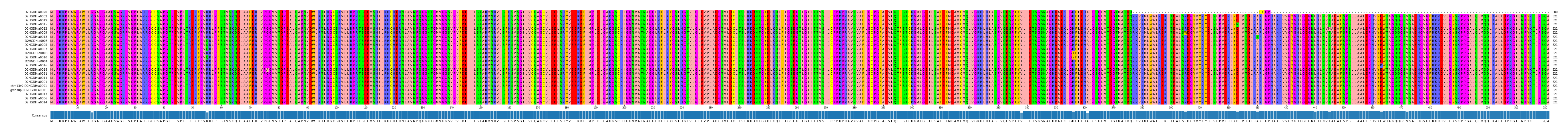 Multiple Alignments (by translate haplotype similarity)
