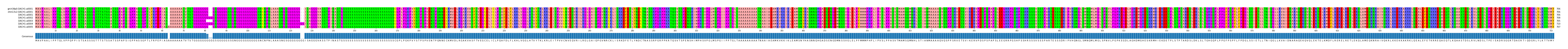 Multiple Alignments (by translate haplotype similarity)