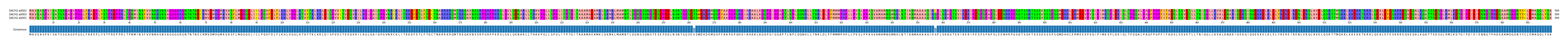Multiple Alignments (by translate haplotype similarity)
