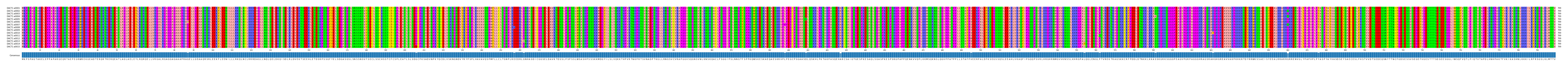 Multiple Alignments (by translate haplotype frequency)