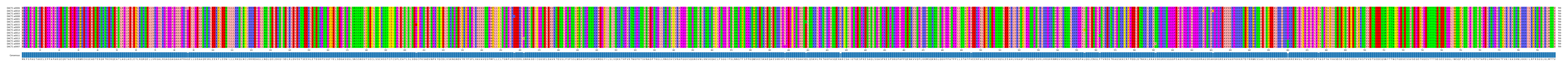 Multiple Alignments (by translate haplotype similarity)
