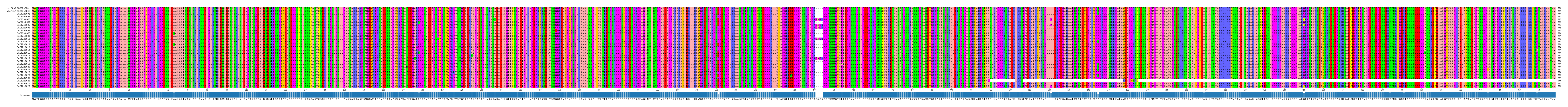 Multiple Alignments (by translate haplotype frequency)