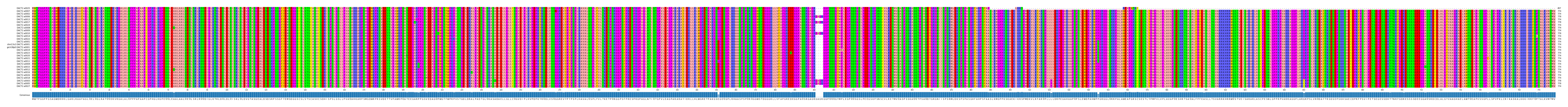 Multiple Alignments (by translate haplotype similarity)