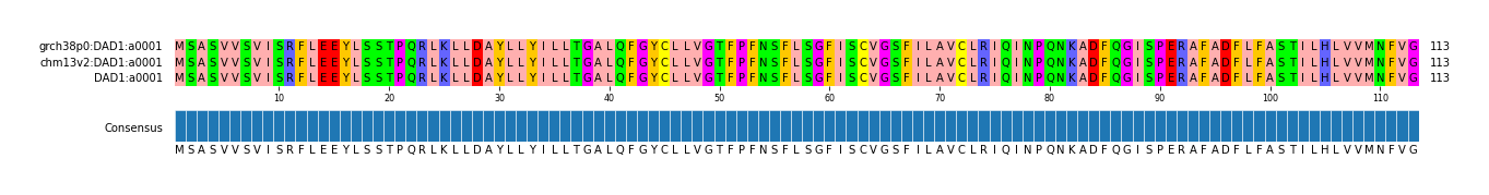 Multiple Alignments (by translate haplotype similarity)