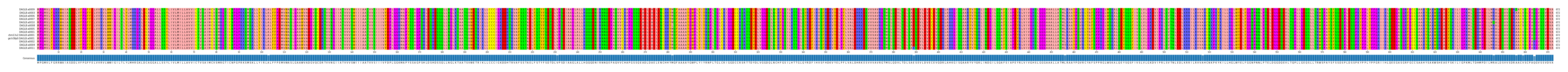 Multiple Alignments (by translate haplotype similarity)
