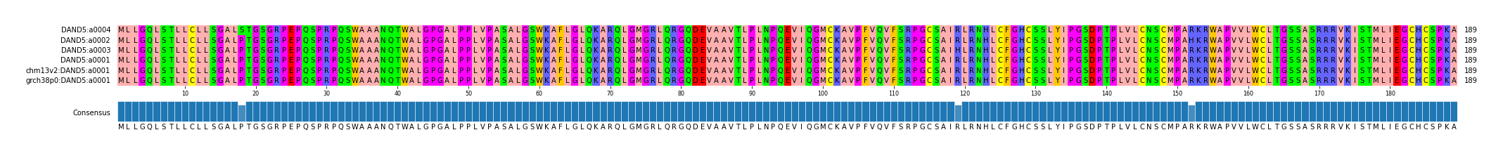 Multiple Alignments (by translate haplotype similarity)