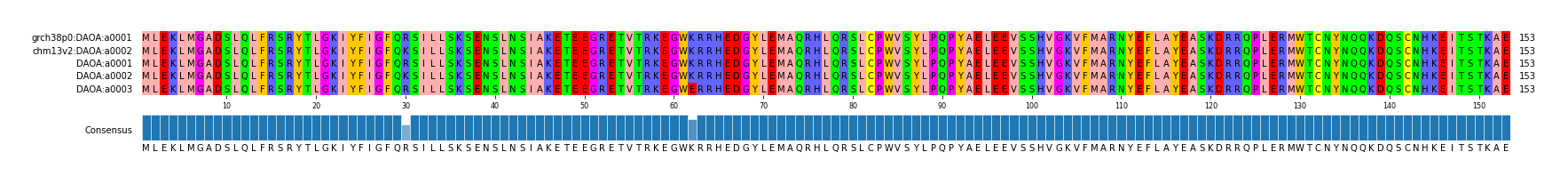 Multiple Alignments (by translate haplotype frequency)