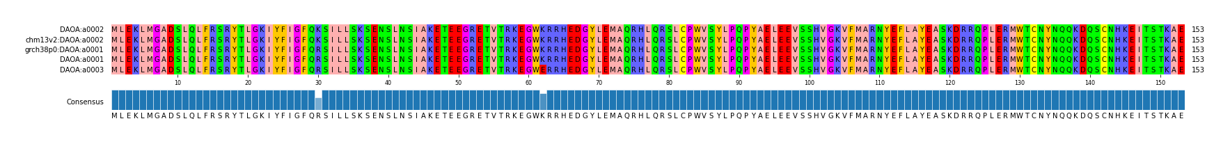 Multiple Alignments (by translate haplotype similarity)