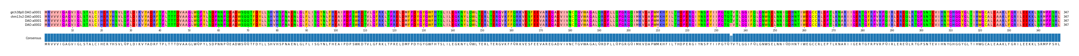 Multiple Alignments (by translate haplotype similarity)