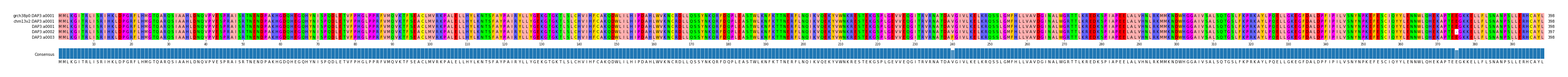 Multiple Alignments (by translate haplotype frequency)