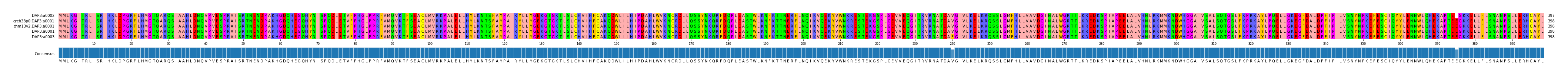 Multiple Alignments (by translate haplotype similarity)