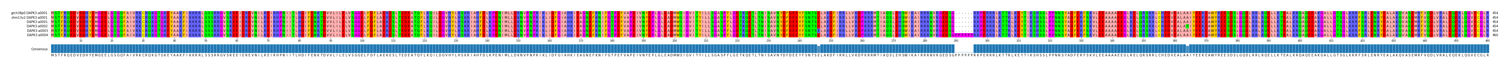 Multiple Alignments (by translate haplotype frequency)