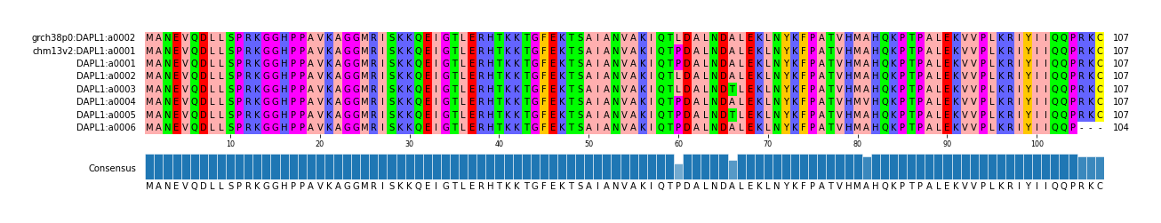Multiple Alignments (by translate haplotype frequency)
