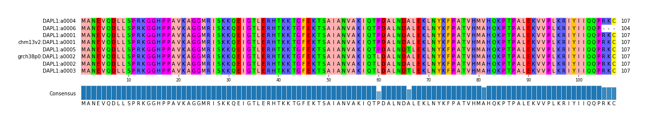 Multiple Alignments (by translate haplotype similarity)