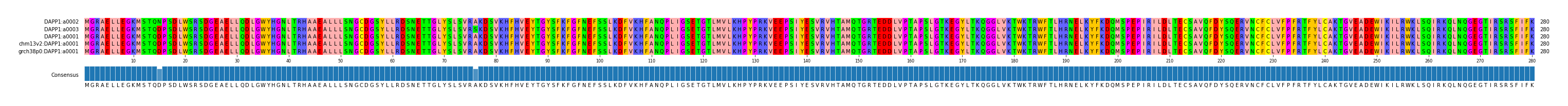 Multiple Alignments (by translate haplotype similarity)