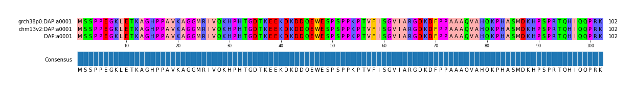 Multiple Alignments (by translate haplotype similarity)