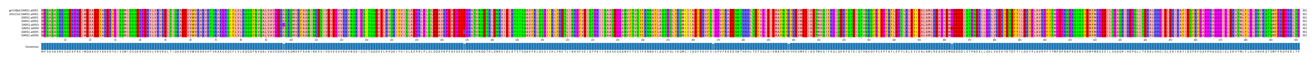Multiple Alignments (by translate haplotype frequency)