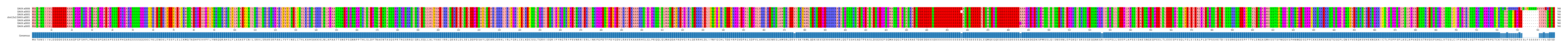 Multiple Alignments (by translate haplotype similarity)