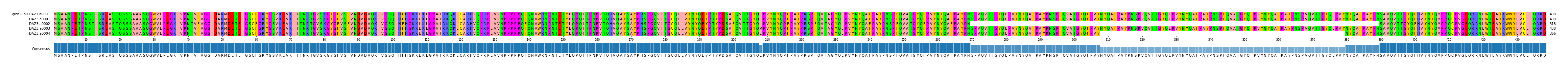 Multiple Alignments (by translate haplotype frequency)