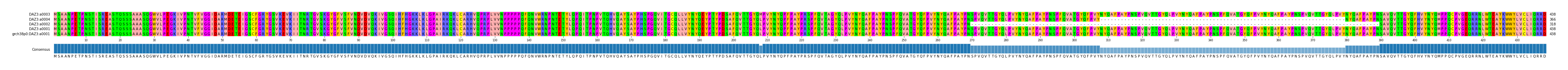 Multiple Alignments (by translate haplotype similarity)