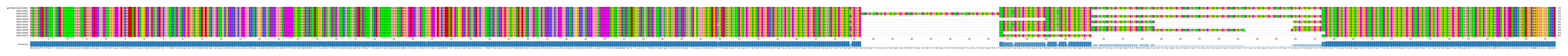 Multiple Alignments (by translate haplotype frequency)