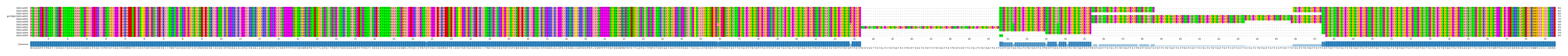 Multiple Alignments (by translate haplotype similarity)