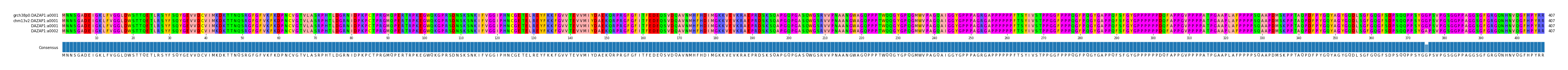 Multiple Alignments (by translate haplotype similarity)