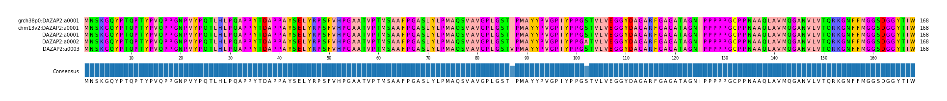 Multiple Alignments (by translate haplotype frequency)