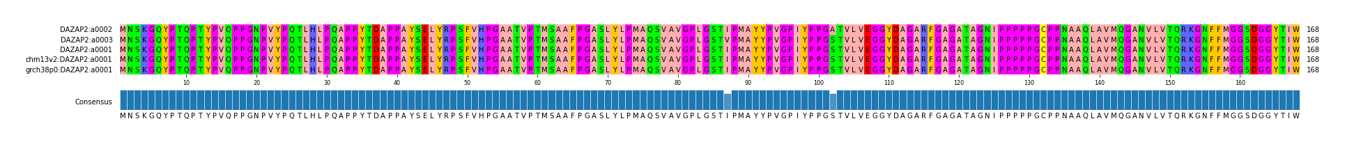 Multiple Alignments (by translate haplotype similarity)