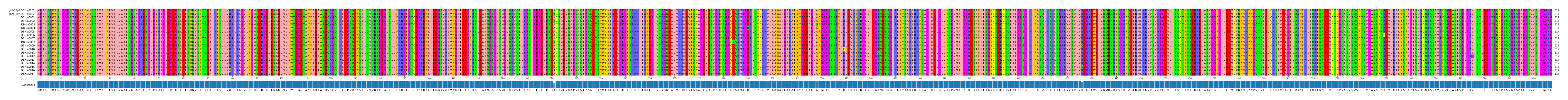 Multiple Alignments (by translate haplotype frequency)